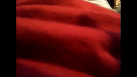 diego_1983_ online show from 04.02.26