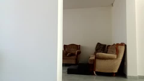 Diego online show from 12.15.24