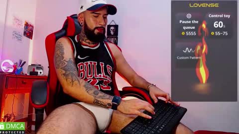  Dylan  online show from 02.11.26