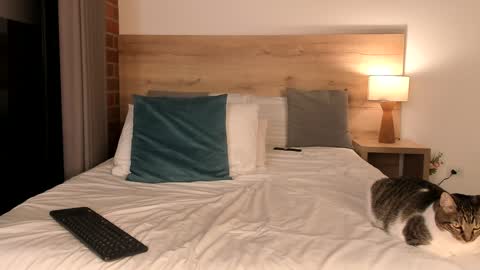 Dilarahkesh  online show from 01.23.25