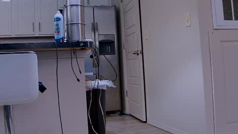 Dilldough405 online show from 01.29.25