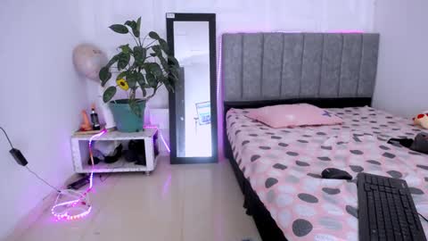 DINA online show from 11.12.25