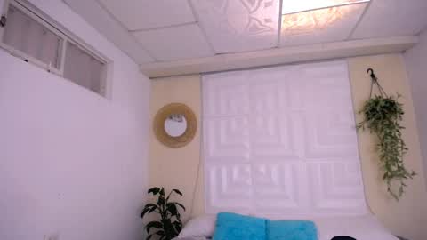 DINA online show from 04.13.26