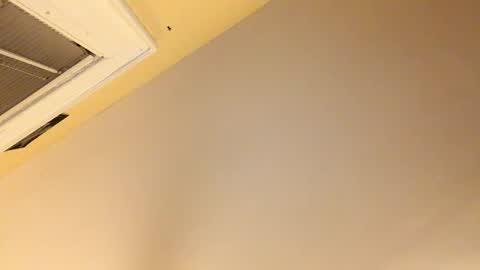 Dingler online show from 12.08.24