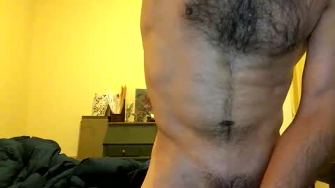 Dingler online show from 12.04.25