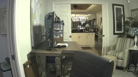 Snapshot of dirkpitt223 chatting on 02.09.25 DirtkPitt Fun guy working online show from 02.09.25