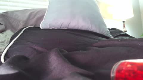 Daisy Wylde online show from 12.06.24