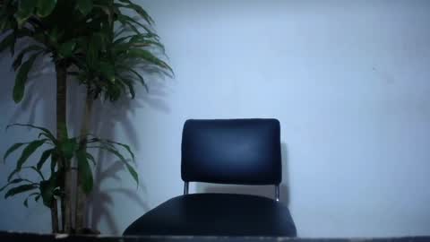 whats app - stagram marian doll online show from 02.26.25