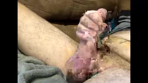 Dirtykurty5000 online show from 09.12.25