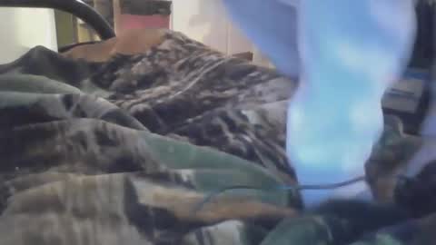 Snapshot of dirtynerdy30 chatting on 01.18.25 Dirtynerdy online show from 01.18.25