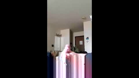 discreetmt online show from 06.11.26