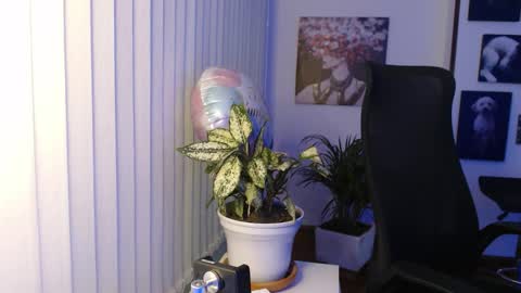 Snapshot of divineisis chatting on 01.16.26 Hera online show from 01.16.26