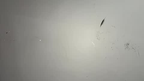 Snapshot of dixkzilla chatting on 02.20.26 dixkzilla online show from 02.20.26