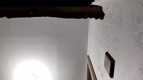 Snapshot of dixonbird41 chatting on 02.18.25 dixonbird41 online show from 02.18.25