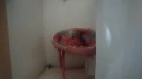 Snapshot of dixonbird41 chatting on 10.06.25 dixonbird41 online show from 10.06.25