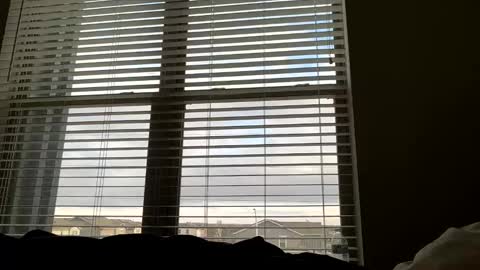 dj9469615 online show from 03.22.26