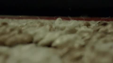 Mmmmgood online show from 02.24.25