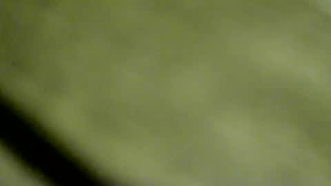 Doby online show from 01.15.26