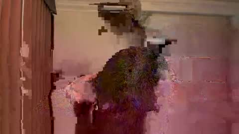 GIJO online show from 03.15.26