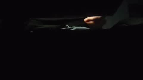 domcook147 online show from 01.04.25