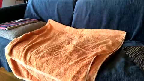 Alfredo online show from 02.07.25