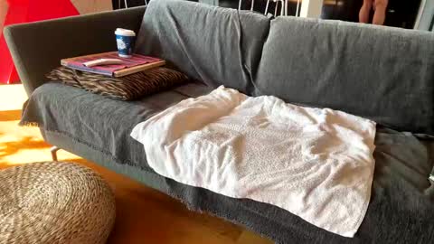 Alfredo online show from 11.13.25