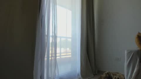 Donatella online show from 02.10.25