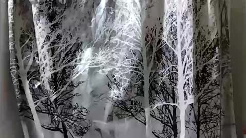 donschlongs online show from 12.28.24