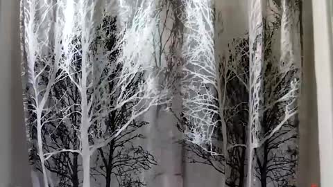 donschlongs online show from 01.21.25