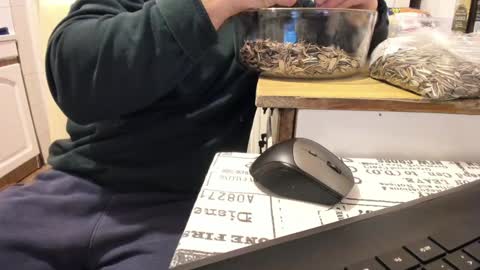 menu  below online show from 01.01.25