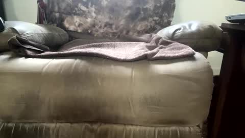 Snapshot of dotcom0063 chatting on 11.15.25 dotcom0062 online show from 11.15.25