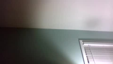 Snapshot of dowbo7777 chatting on 01.24.25 dowbo online show from 01.24.25