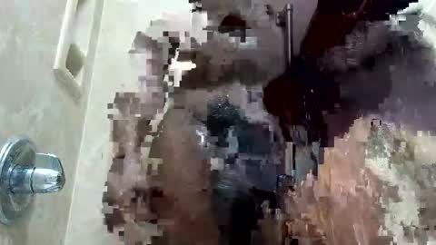 Snapshot of dpirated1 chatting on 01.18.26 MrPirated online show from 01.18.26