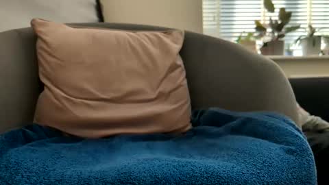 Drayfus online show from 04.25.26