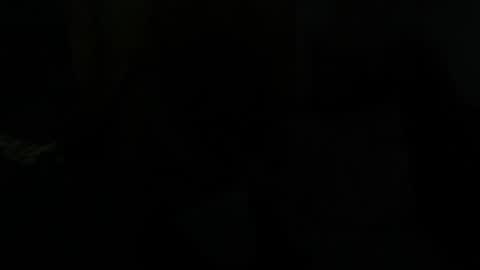 Dragon online show from 01.28.25