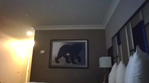 DreadedChefLoXXX online show from 03.03.25