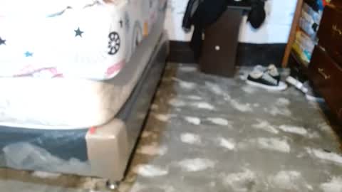 dreamreal online show from 04.11.26