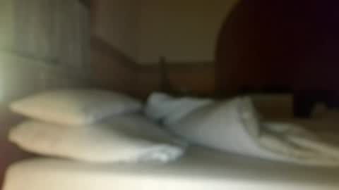 Snapshot of dreambob chatting on 12.01.25 Dreambob online show from 12.01.25