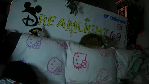 Snapshot of dreamlight69 chatting on 01.26.25 Dreamlight online show from 01.26.25