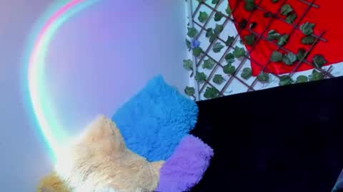 Dreyk online show from 07.26.26