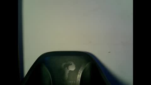 Snapshot of drippingpussy__ chatting on 10.15.25 drippingpussy__ online show from 10.15.25