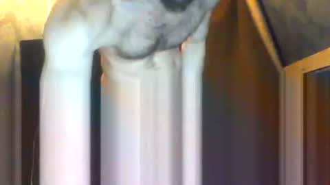 drippydickboy online show from 02.05.26