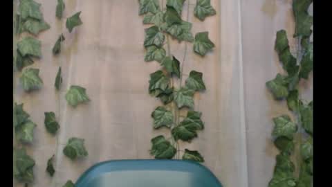 linda online show from 09.16.25