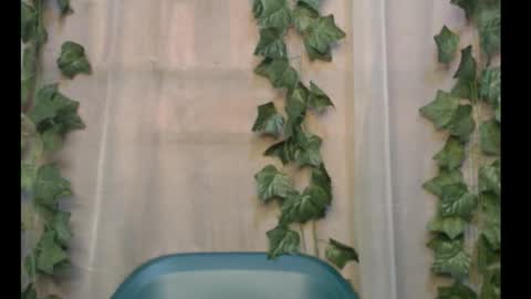 linda online show from 09.28.25