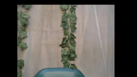 linda online show from 10.15.25