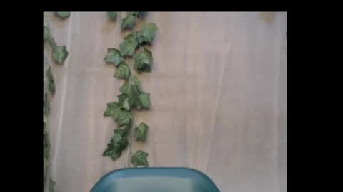 linda online show from 10.18.25