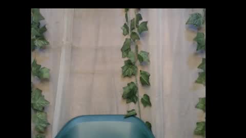 linda online show from 10.30.25