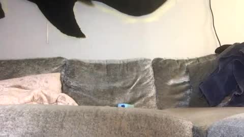 2xTheTrouble online show from 02.26.26