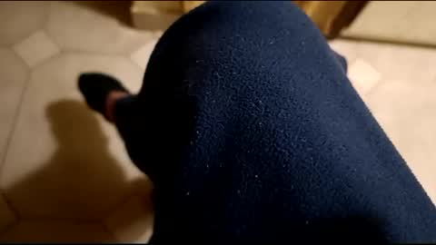 dthedog12 online show from 02.21.25