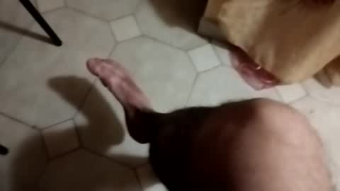 dthedog12 online show from 09.22.25